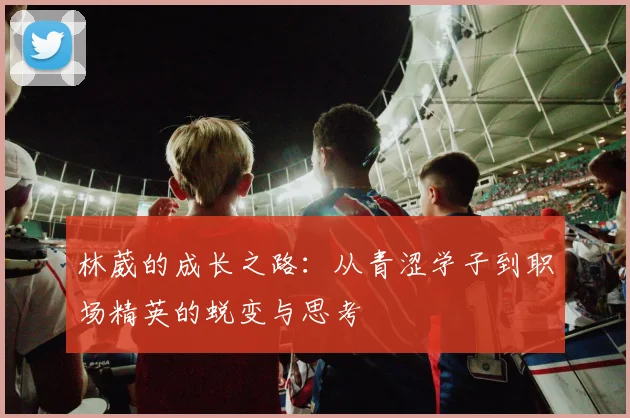 林葳的成长之路：从青涩学子到职场精英的蜕变与思考