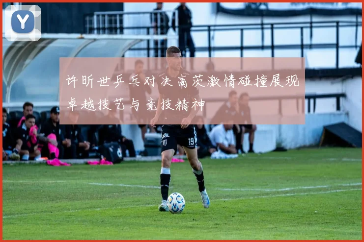 许昕世乒乓对决高茨激情碰撞展现卓越技艺与竞技精神