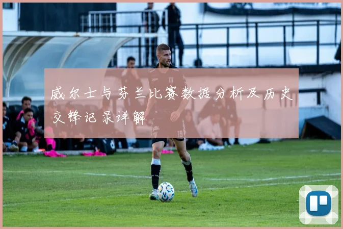 威尔士与芬兰比赛数据分析及历史交锋记录详解