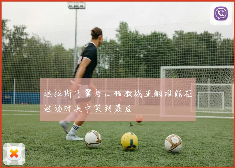 达拉斯飞翼与山猫激战正酣谁能在这场对决中笑到最后