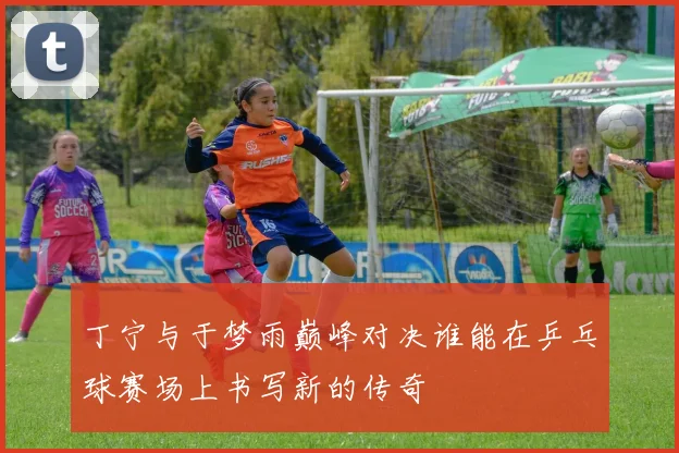 丁宁与于梦雨巅峰对决谁能在乒乓球赛场上书写新的传奇