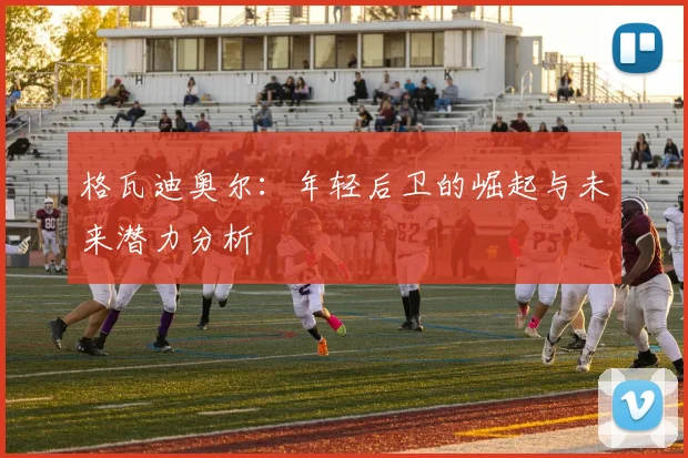 格瓦迪奥尔：年轻后卫的崛起与未来潜力分析