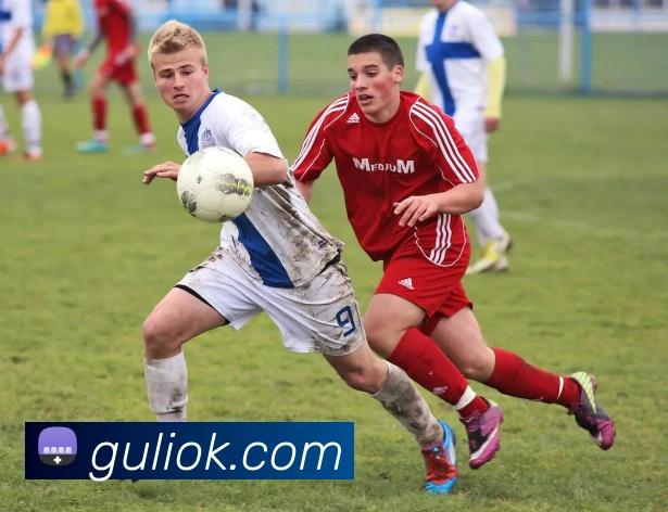 App Interface Preview